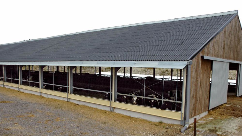 Le bâtiment prévu sera un copié-collé de ce que l'on trouve en Europe du Nord, sans fioritures : des longs-pans ouverts avec un bardage filet, des logettes creuses, pas de cornadis mais une barre au garrot…© J.-M.V.