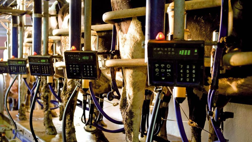 Prudence sur l'impact final de la réforme pour les laitiers intensifs a priori en première ligne. Les États membres auront en effet beaucoup de latitude pour aller vers l'uniformisation des DPU.© JEAN-MICHEL NOSSANT