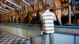Au-delà de la productivité, le BTPL insiste sur la nécessité de connaître et de maîtriser ses coûts de production.© SÉBASTIEN CHAMPION Au-delà de la productivité, le BTPL insiste sur la nécessité de connaître et de maîtriser ses coûts de production.© SÉBASTIEN CHAMPION