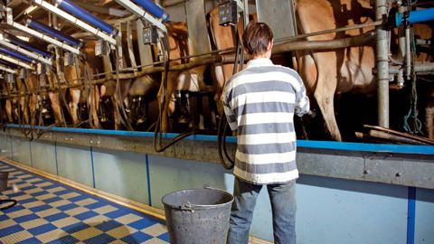 Au-delà de la productivité, le BTPL insiste sur la nécessité de connaître et de maîtriser ses coûts de production.© SÉBASTIEN CHAMPION
