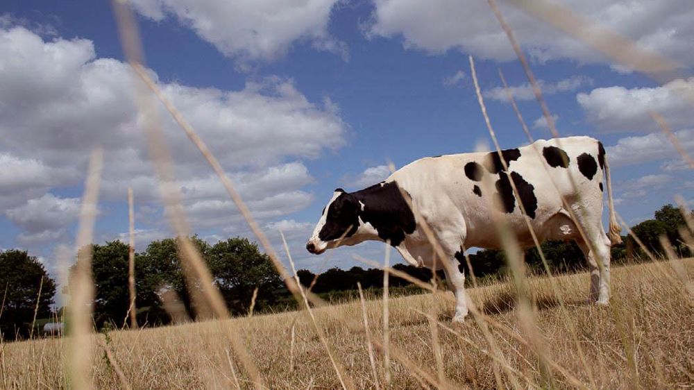 © SÉBASTIEN CHAMPION