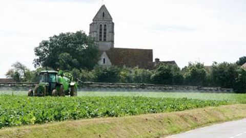 Polémiques : L'étude de Gilles-Eric Séralini a ravivé le débat sur les OGM. Un sujet brûlant, tout comme les pesticides et les algues vertes, pointés du doigt comme une dérive de l'agriculture productiviste.