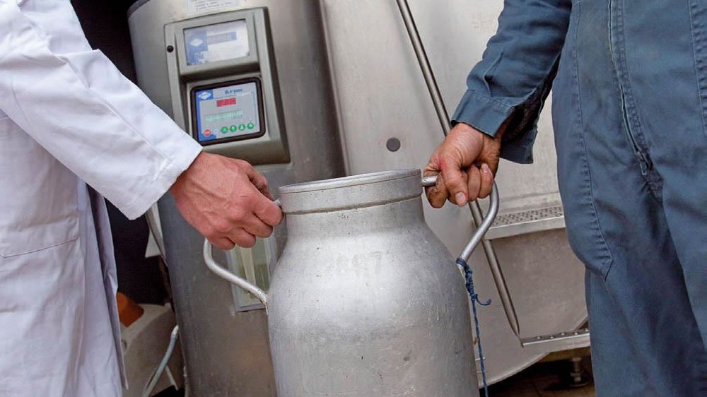 L'adhésion des éleveurs à l'OP est prévue pour une durée minimum de cinq ans.© SÉBASTIEN CHAMPION