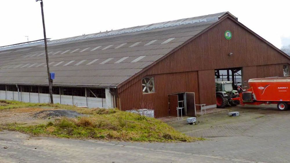Le choix de grossir de certains éleveurs de Rhénanie-Palatinat va de pair avec la stratégie de volumes suivie par la Muh, acteur majeur du lait premier prix dans l'UE.