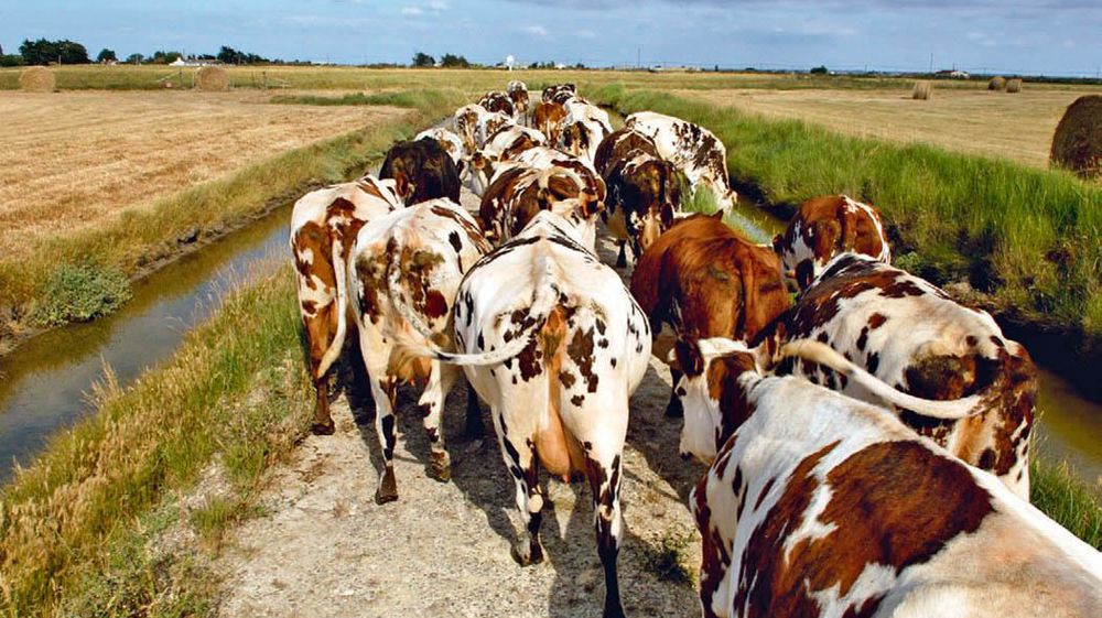 Le budget du second pilier devrait être préservé mais toujours avec un cofinancement des États, à condition qu'ils en aient les moyens.© PHILIPPE DESCHAMPS