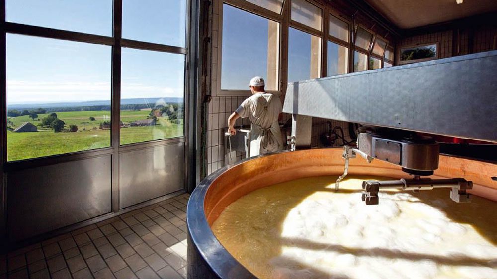 L'engagement Sodiaal de respecter la MPN comté pose des garde-fous au futur grignotage du prix du lait AOC pour aider d'autres branches du groupe.© PHILLIPE ROY