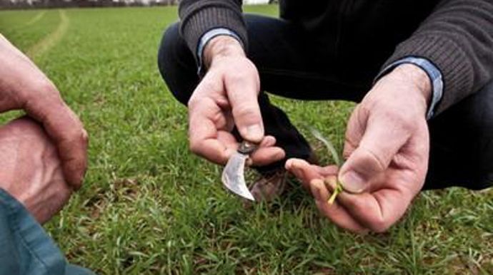 Les nouvelles recrues assureront le lien entre le terrain et la R & D.MARC JOSSE/ROULLIER