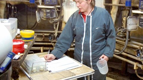 Les contrôles laitiers traditionnels conservent une position ultra-dominante : ils réalisent 72 % du contrôle de performance en France, ce qui représente 90 % de la collecte.© CLAUDIUS THIRIET