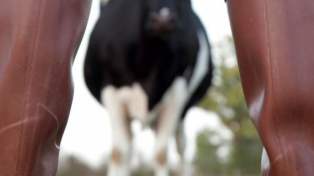 © SÉBASTIEN CHAMPION