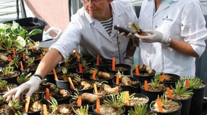 L'objectif est de multiplier par deux, le rythme de croissance des rendements d'ici à 2020.