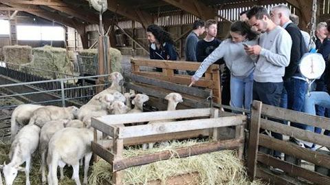 Visite d'une ferme d'élevage bio avec Val de Gascogne, débat sur les filières bio et dégustation d'agneau bio. © COOP DE FRANCE Visite d'une ferme d'élevage bio avec Val de Gascogne, débat sur les filières bio et dégustation d'agneau bio. © COOP DE FRANCE Visite d'une ferme d'élevage bio avec Val de Gascogne, débat sur les filières bio et dégustation d'agneau bio. © COOP DE FRANCE Visite d'une ferme d'élevage bio avec Val de Gascogne, débat sur les filières bio et dégustation d'agneau bio. © COOP DE FRANCE