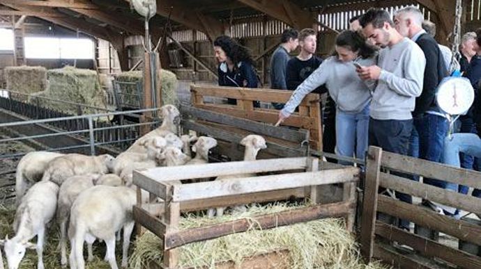 Visite d'une ferme d'élevage bio avec Val de Gascogne, débat sur les filières bio et dégustation d'agneau bio. © COOP DE FRANCE Visite d'une ferme d'élevage bio avec Val de Gascogne, débat sur les filières bio et dégustation d'agneau bio. © COOP DE FRANCE