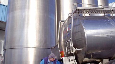Les coopératives doivent anticiper l'évolution de la collecte pour adapter leur outil industriel et leur démarche commerciale.© STÉPHANE LEITENBERGER