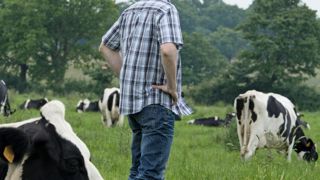 Il est difficile de s'engager sur des investissements lourds pour des marchés volatils détenus par des laiteries qui n'inspirent pas confiance.© SÉBASTIEN CHAMPION Il est difficile de s'engager sur des investissements lourds pour des marchés volatils détenus par des laiteries qui n'inspirent pas confiance.© SÉBASTIEN CHAMPION