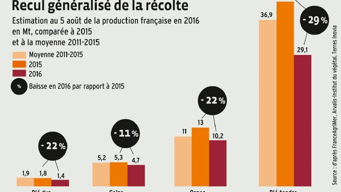 Début août, les estimations de FranceAgriMer, Arvalis et Terres Inovia faisaient état d'un recul de récolte sur toutes les cultures. Le quart Nord-Est (incluant le Centre, l'Ile-de-France et la Bourgogne) est le plus touché. Et les chiffres pourraient encore être révisés, les moissons n'ayant pas pu être terminées dans certaines régions, notamment à cause des intempéries.