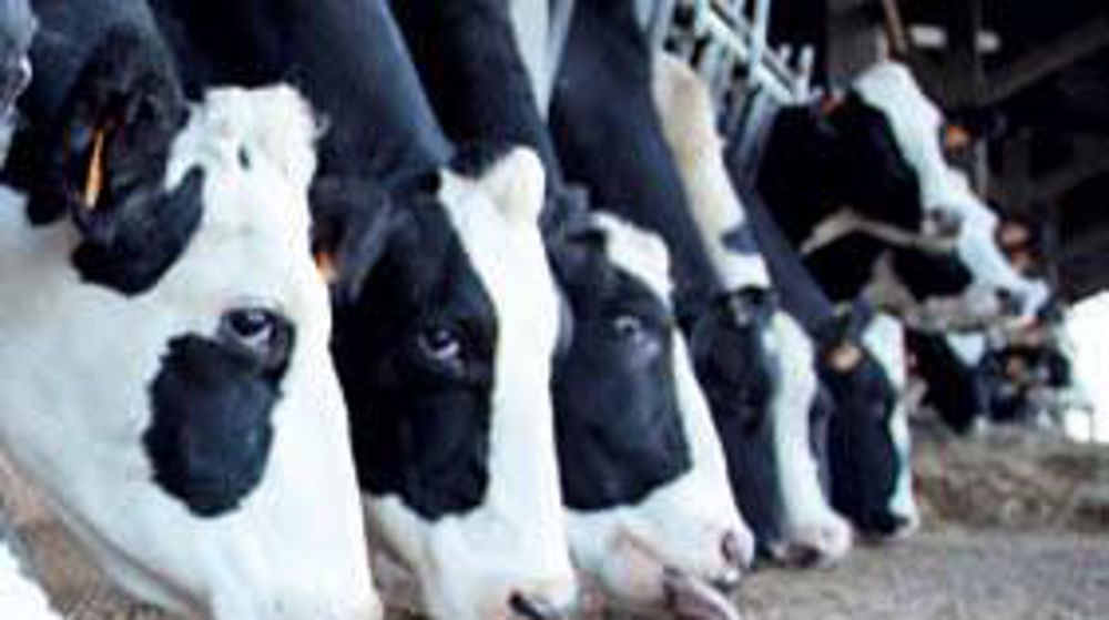 © SÉBASTIEN CHAMPION