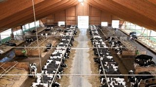 Les élevages qui ont investi ces deux ou trois dernières années sont les plus fragilisés par un mauvais prix du lait.© CLAUDIUS THIRIET Les élevages qui ont investi ces deux ou trois dernières années sont les plus fragilisés par un mauvais prix du lait.© CLAUDIUS THIRIET