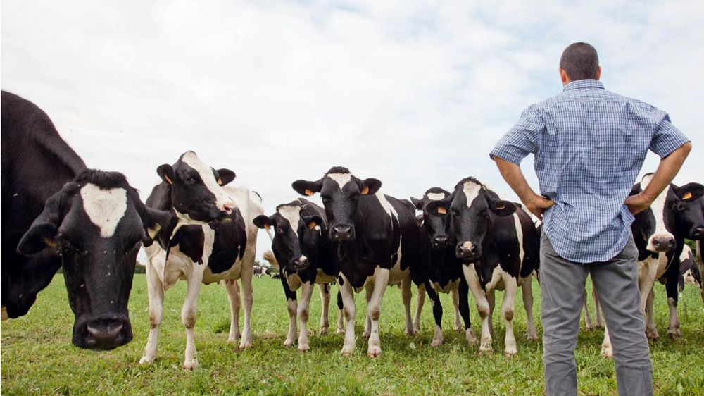Les producteurs concernés par une vente de leur lait incertaine ou par un prix à la baisse oscillent entre colère, inquiétude et combativité.© SÉBASTIEN CHAMPION Les producteurs concernés par une vente de leur lait incertaine ou par un prix à la baisse oscillent entre colère, inquiétude et combativité.© SÉBASTIEN CHAMPION