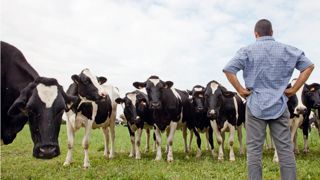 Les producteurs concernés par une vente de leur lait incertaine ou par un prix à la baisse oscillent entre colère, inquiétude et combativité.© SÉBASTIEN CHAMPION Les producteurs concernés par une vente de leur lait incertaine ou par un prix à la baisse oscillent entre colère, inquiétude et combativité.© SÉBASTIEN CHAMPION