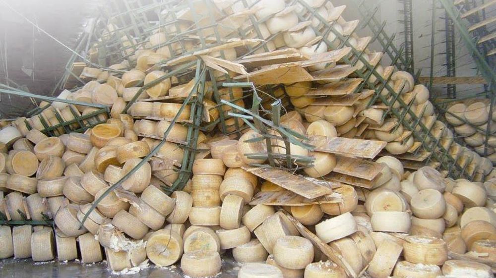 Les étagères des caves d'affinage n'ont pas résisté au séisme.© N.S.