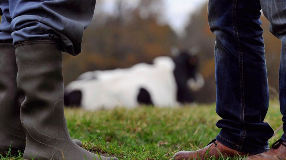 Un deuxième rapport s'imposera. Il ne pourra pas faire l'économie d'un large sondage pour recueillir directement l'opinion des producteurs© JÉRÔME CHABANNE