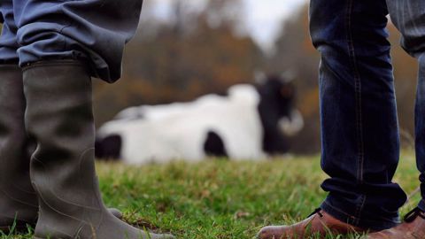 Un deuxième rapport s'imposera. Il ne pourra pas faire l'économie d'un large sondage pour recueillir directement l'opinion des producteurs© JÉRÔME CHABANNE