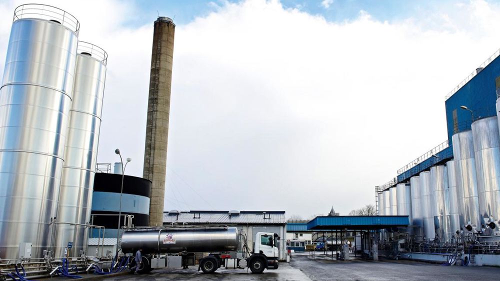 Les capacités industrielles des coopératives conditionnent les volumes de développement alloués à leurs adhérents.© THIERRY PASQUET Les capacités industrielles des coopératives conditionnent les volumes de développement alloués à leurs adhérents.© THIERRY PASQUET