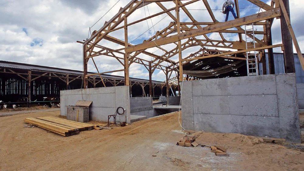 Cette nouvelle gestion a permis un meilleur ciblage avec 80 % des volumes gratuits vers les JA, les récents investisseurs et les producteurs produisant leur quota.© CHRISTIAN WATIER