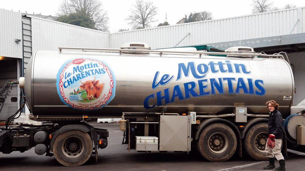 Une société détenue à 50/50 par les deux groupes sera créée avec l'activité caprine de Terra Lacta et des fromages de vache comme Le Mottin Charentais.© JEAN-MICHEL NOSSANT