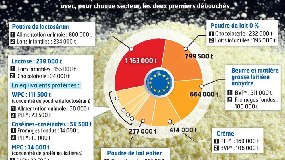 Photo : Philippe Montigny