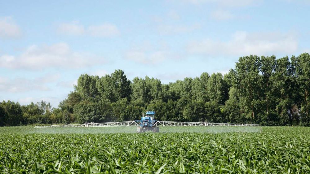 La quantité de substances actives vendues en 2011 est de 62 700 t, en hausse de 1,3 % par rapport à 2010. En cause, les herbicides et les insecticides tandis que les fongicides ont régressé.© SÉBASTIEN CHAMPION