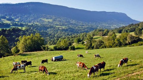Membres des FDSEA et des JA, les administrateurs attendent des avancées concrètes avec la distribution avant d'ouvrir plus argement les adhésions.© PHILIPPE ROY