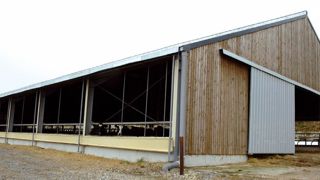 C'est dans un bâtiment de ce style, courant en Europe du Nord, que les 1 000 vaches seraient conduites. C'est dans un bâtiment de ce style, courant en Europe du Nord, que les 1 000 vaches seraient conduites.