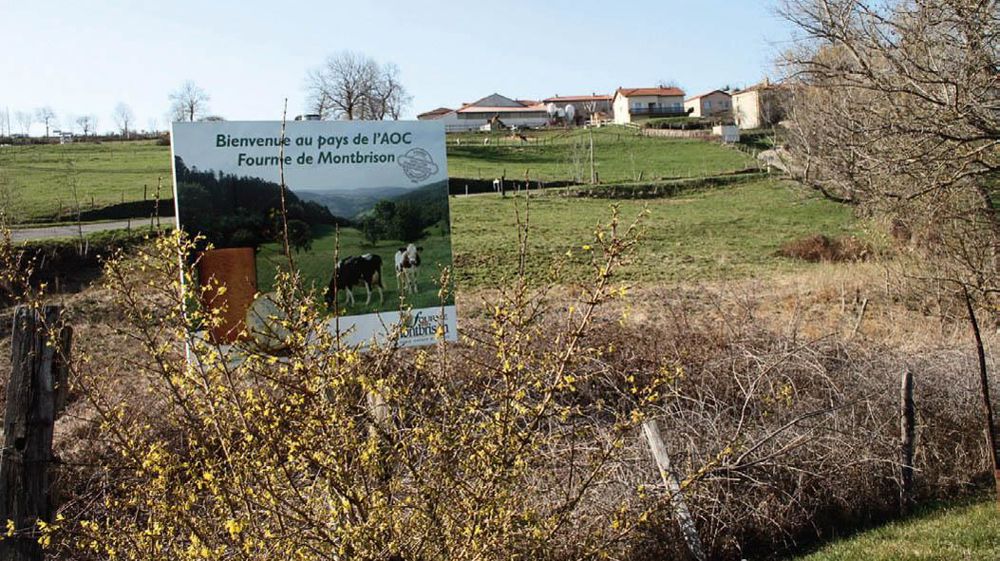 Depuis sa reprise par le fromager Éric Soubeyrand, l'ancienne fromagerie Forez Fourme a été rebaptisée Entreprise laitière de Sauvain.