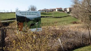 Depuis sa reprise par le fromager Éric Soubeyrand, l'ancienne fromagerie Forez Fourme a été rebaptisée Entreprise laitière de Sauvain. Depuis sa reprise par le fromager Éric Soubeyrand, l'ancienne fromagerie Forez Fourme a été rebaptisée Entreprise laitière de Sauvain.