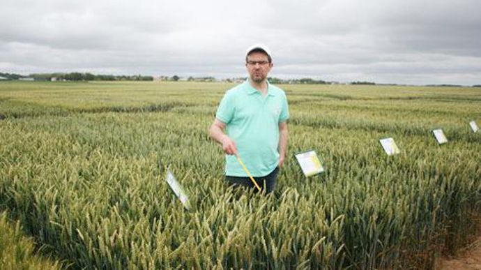 Philippe Pluquet, responsable technique de Noriap : « Nous allons développer les blés biscuitiers et nous nous intéressons avec notre filiale Novial en alimentation animale, au soja et au lupin. » © B. CAILLIEZ Philippe Pluquet, responsable technique de Noriap : « Nous allons développer les blés biscuitiers et nous nous intéressons avec notre filiale Novial en alimentation animale, au soja et au lupin. » © B. CAILLIEZ