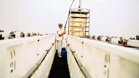 Après un déficit de 13 M€ de 2009 à 2011 et une perte de capitaux propres de 10,5 M€, les fromageries de Blamont seraient à l'équilibre en 2012 grâce à un nouvel effort de 10 €/1 000 l sur le prix du lait de ses adhérents.