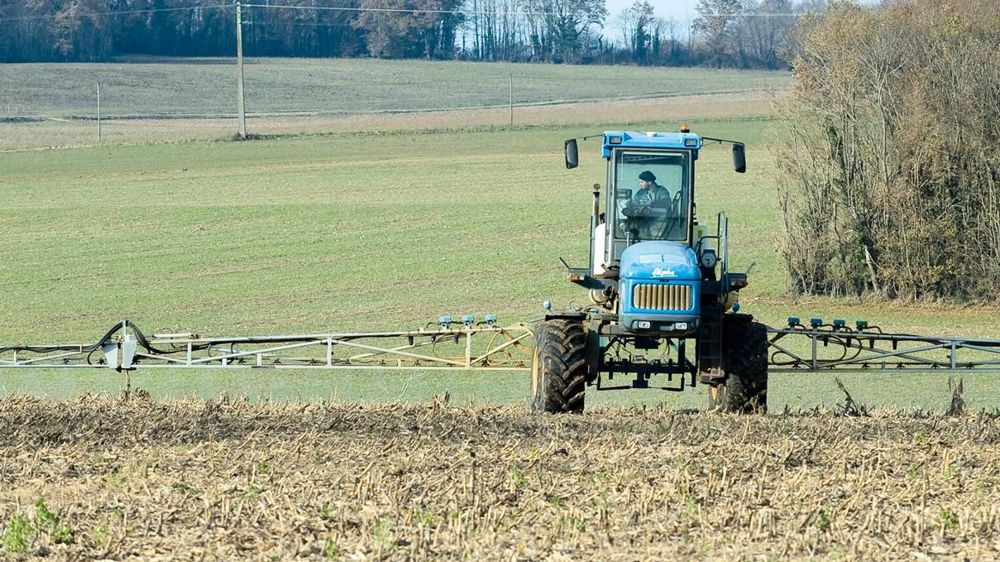 Dans certains secteurs, les fenêtres pour traiter ont été réduites du fait de récoltes tardives et des conditions climatiques.J.-M. NOSSANT