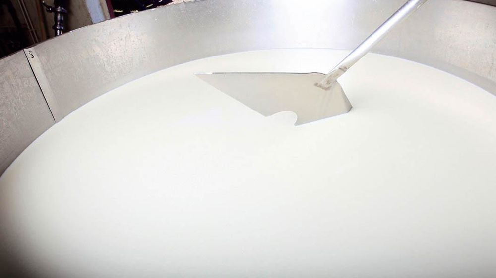 Le 30 septembre, les adhérents devront déclarer leurs livraisons annuelles globales pour l'année N + 1 pour donner plus de visibilité commerciale à leur coopérative.© JÉRÔME CHABANNE