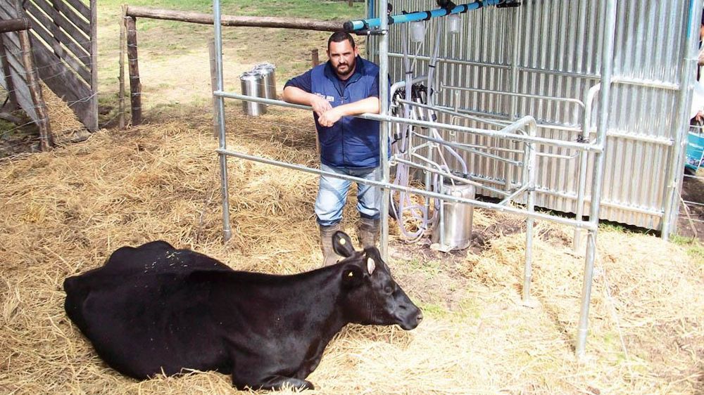 2 000 trayeuses à deux postes de ce type ont été remises gratuitement aux petits producteurs de lait argentins© PAUL-HENRY SABY