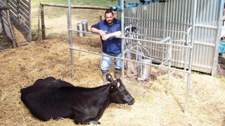 2 000 trayeuses à deux postes de ce type ont été remises gratuitement aux petits producteurs de lait argentins© PAUL-HENRY SABY 2 000 trayeuses à deux postes de ce type ont été remises gratuitement aux petits producteurs de lait argentins© PAUL-HENRY SABY