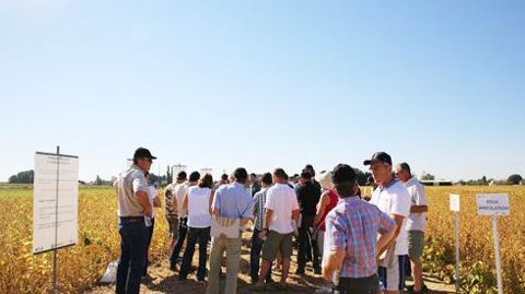 La journée Sojavenir du 8 septembre à Thiéblemont-Farémont a permis aux adhérents de Vivescia de voir tous les aspects de la culture du soja du semis à la récolte en passant par la valorisation économique. © VIVESCIA La journée Sojavenir du 8 septembre à Thiéblemont-Farémont a permis aux adhérents de Vivescia de voir tous les aspects de la culture du soja du semis à la récolte en passant par la valorisation économique. © VIVESCIA