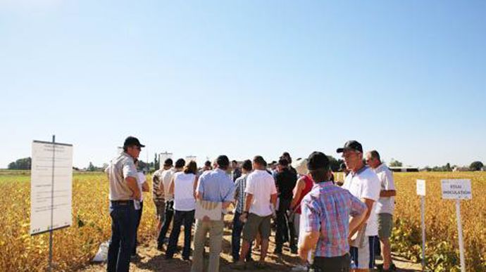 La journée Sojavenir du 8 septembre à Thiéblemont-Farémont a permis aux adhérents de Vivescia de voir tous les aspects de la culture du soja du semis à la récolte en passant par la valorisation économique. © VIVESCIA La journée Sojavenir du 8 septembre à Thiéblemont-Farémont a permis aux adhérents de Vivescia de voir tous les aspects de la culture du soja du semis à la récolte en passant par la valorisation économique. © VIVESCIA