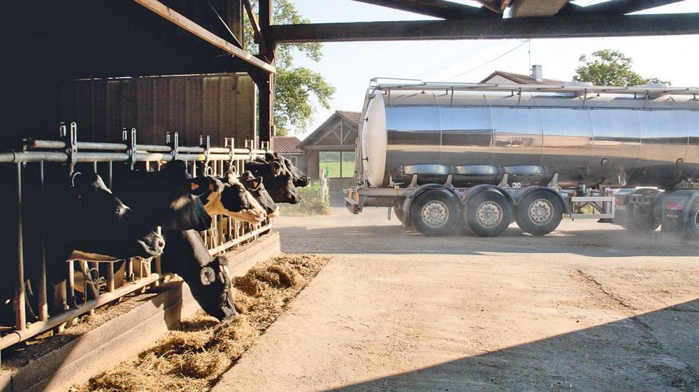 Positionnée sur le marché des ingrédients laitiers, la Prospérité Fermière envisage d'améliorer la valorisation du gramme différentiel de TP. ©SÉBASTIEN CHAMPION