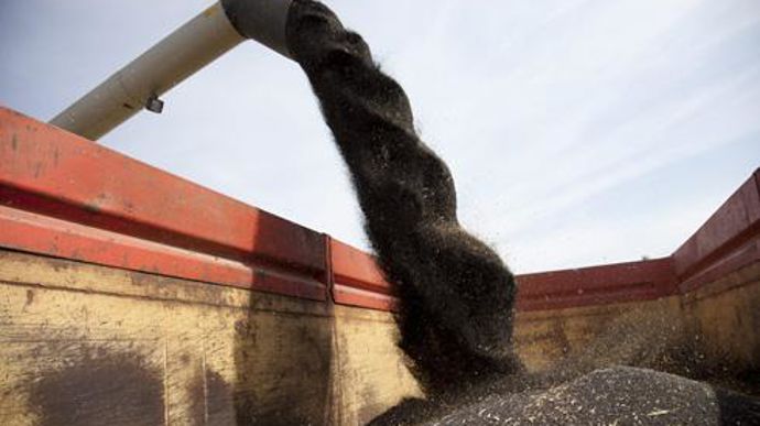 Le site de collecte de Lanta (Haute-Garonne) du groupe Arterris, s'est vu dérober 32 tonnes de colza dans la nuit du 7 au 8 juillet. © S. CHAMPION Le site de collecte de Lanta (Haute-Garonne) du groupe Arterris, s'est vu dérober 32 tonnes de colza dans la nuit du 7 au 8 juillet. © S. CHAMPION