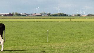 Les éleveurs qui font pâturer 120 jours par an reçoivent une prime. Ils sont soutenus aussi dans leur projet de méthanisation et d'éoliennes.© CLAUDIUS THIRIET Les éleveurs qui font pâturer 120 jours par an reçoivent une prime. Ils sont soutenus aussi dans leur projet de méthanisation et d'éoliennes.© CLAUDIUS THIRIET