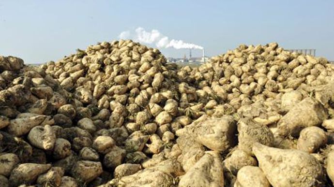 Les élus démissionnaires estiment que, depuis 2012, Tereos perd du terrain en termes de résultat net par rapport à de grands concurrents européens. © P. MONTIGNY Les élus démissionnaires estiment que, depuis 2012, Tereos perd du terrain en termes de résultat net par rapport à de grands concurrents européens. © P. MONTIGNY