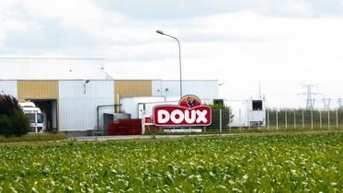 La France assure 97 % de ce type de production avec Tilly Sabco et Doux qui exportent des poulets congelés, halal, d'environ 1 kg  vers le Proche et le Moyen-Orient.D. ALLARD/REA