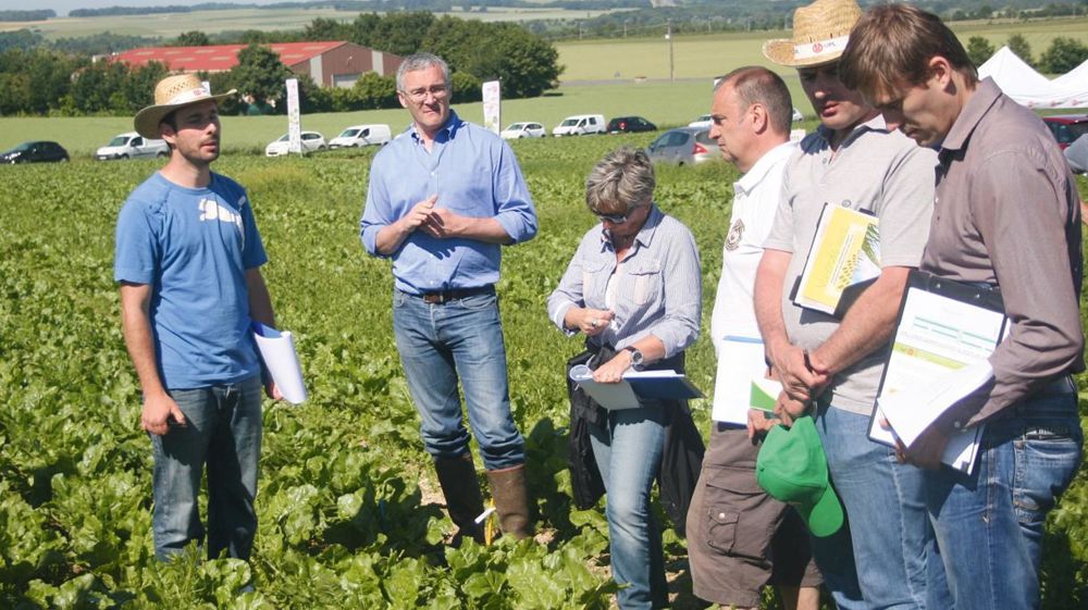 Sur sa plate-forme expérimentale, UPL France a testé toutes les combinaisons possibles d'associations à base de BeetUp Compact.B. CAILLIEZ