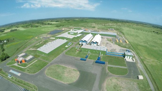 Installée sur 1 500 m², près de Kiev, la station de R & D de MAS Seeds travaillera à la sélection d'hybrides de maïs et de tournesol.MAÏSADOUR